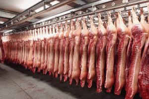 Problemen bij slachterijen door tekort aan NVWA-capaciteit
