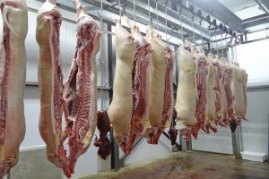Brazilië: varkensvleesexport bereikt recordhoogte