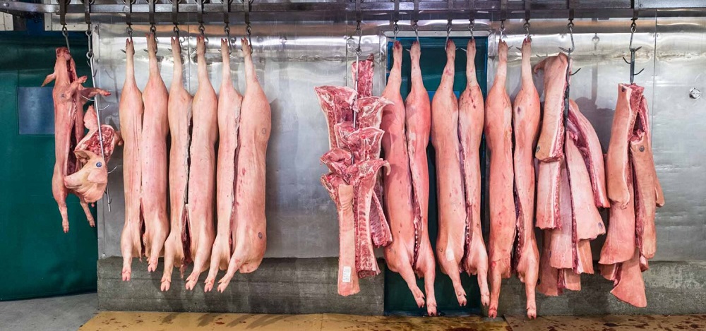 De Bulgaarse varkenssector geeft niet op