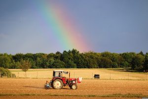 Landbouweconoom Petra Berkhout reageert op zeven stellingen over boeren, milieu en voedselmarkt
