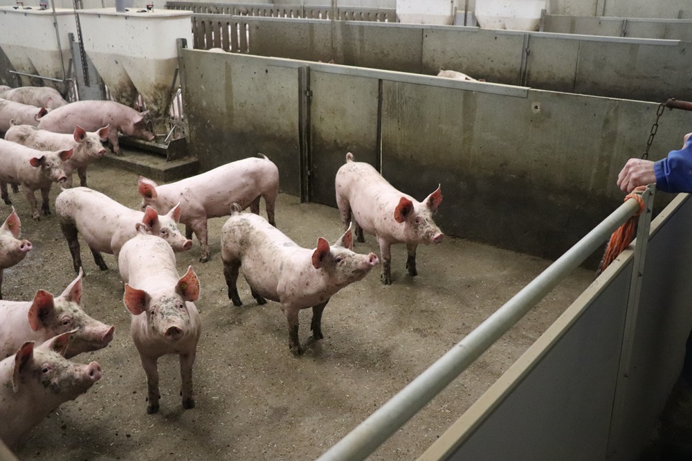 Kennissessie: Verzuim van werknemers 