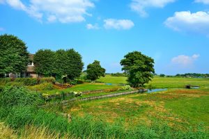 Belastingdienst publiceert Landelijke Landbouwnormen 2024