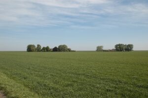 Landbouwgrond prijs doorbreekt grens 85.000 euro per hectare