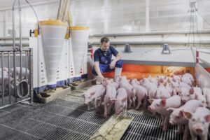 “Samenwerking geeft boost aan genetische motor” 