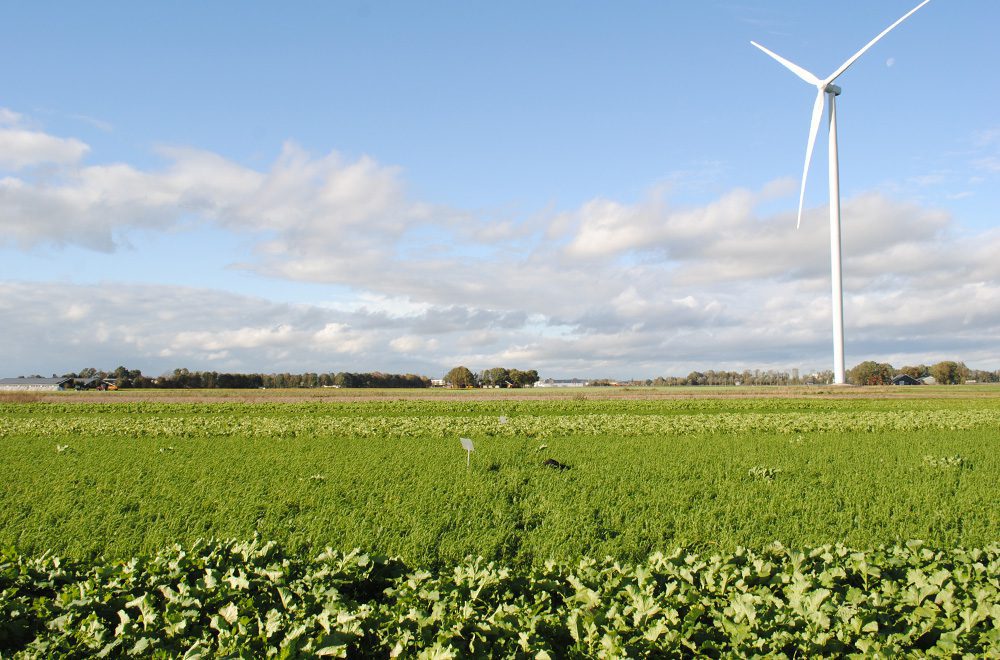 LTO Noord vernieuwt algemeen bestuur met nieuwe én vertrouwde namen