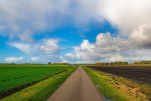 Van sturen op stikstofneerslag naar sturen op stikstofuitstoot