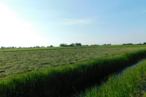 Uitspraak Woo-procedure bewijst noodzaak van herziening van de wet