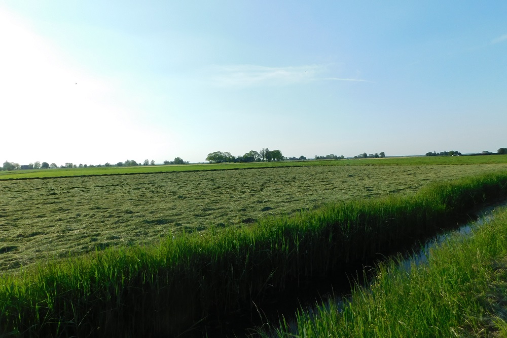 Uitspraak Woo-procedure bewijst noodzaak van herziening van de wet
