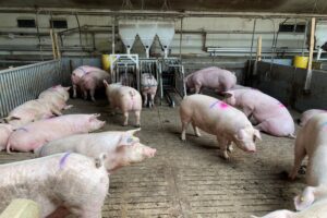 'Wij willen een regering waarop wij kunnen bouwen en vertrouwen'