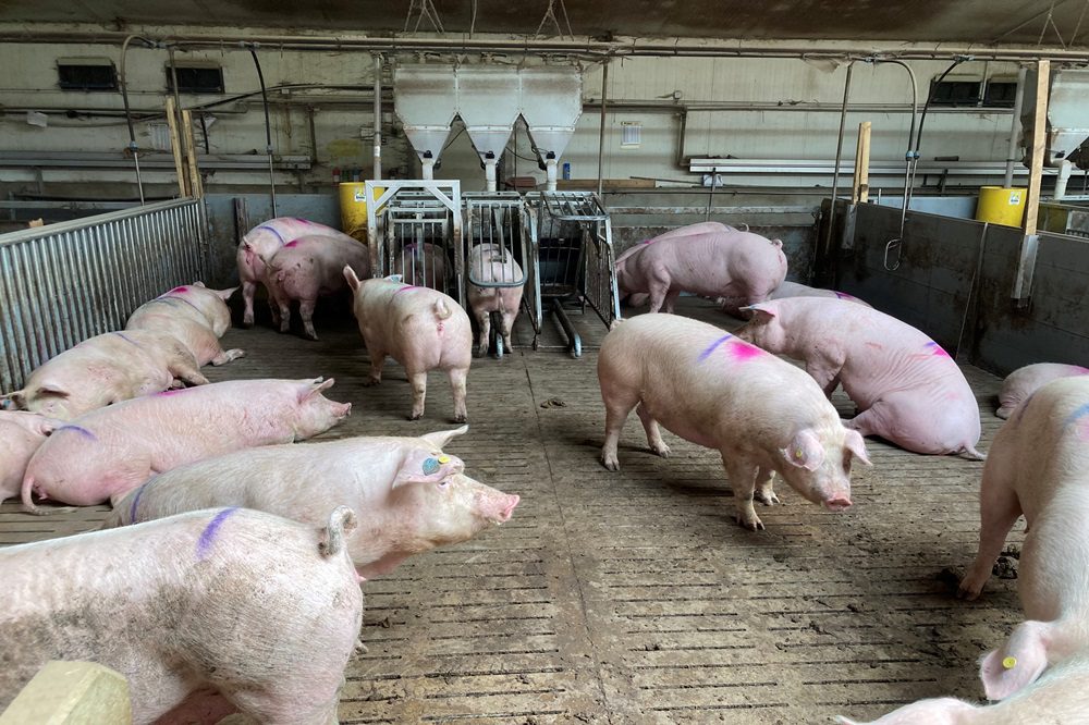 'Wij willen een regering waarop wij kunnen bouwen en vertrouwen'