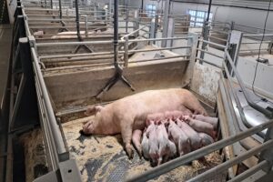 Moving Floor sluit deal van 50 miljoen in China