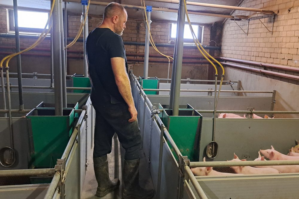 “Zonder varkens weet je niks”