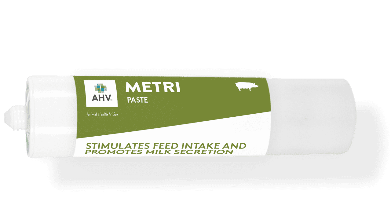 Metri Paste