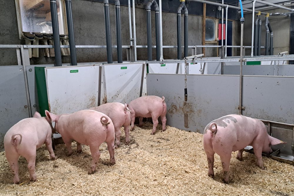 “Het is ongezond als wetgeving het onze koplopers al moeilijk maakt”