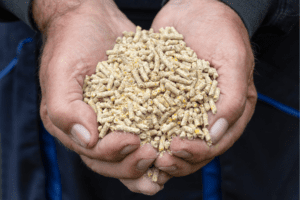 De kracht van voeding voor goed beenwerk bij gelten