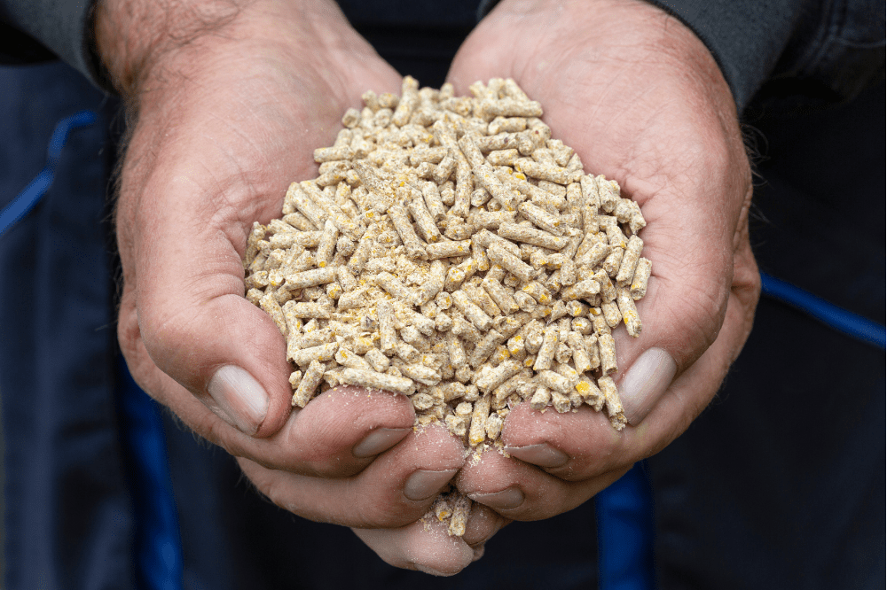De kracht van voeding voor goed beenwerk bij gelten