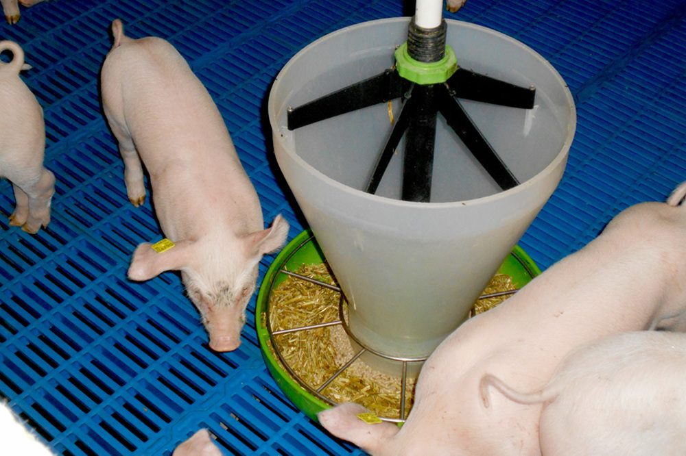 Hokverrijking: waar let de NVWA op?