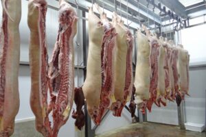 Historisch lage varkensvleesvoorraden eind 2025 