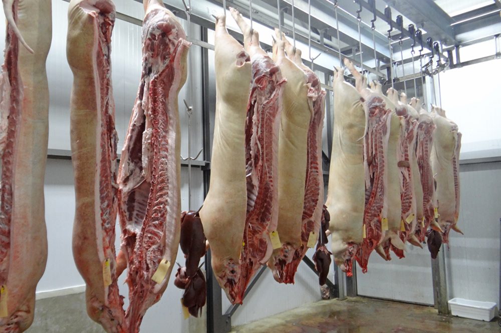 Historisch lage varkensvleesvoorraden eind 2025 