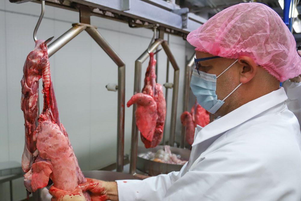 Wat kan longonderzoek jouw bedrijf opleveren?