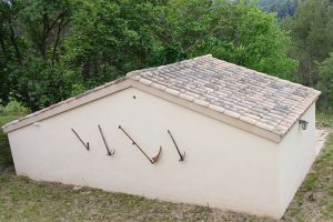 Catalonië blijft struggelen met Afrikaanse varkenspest