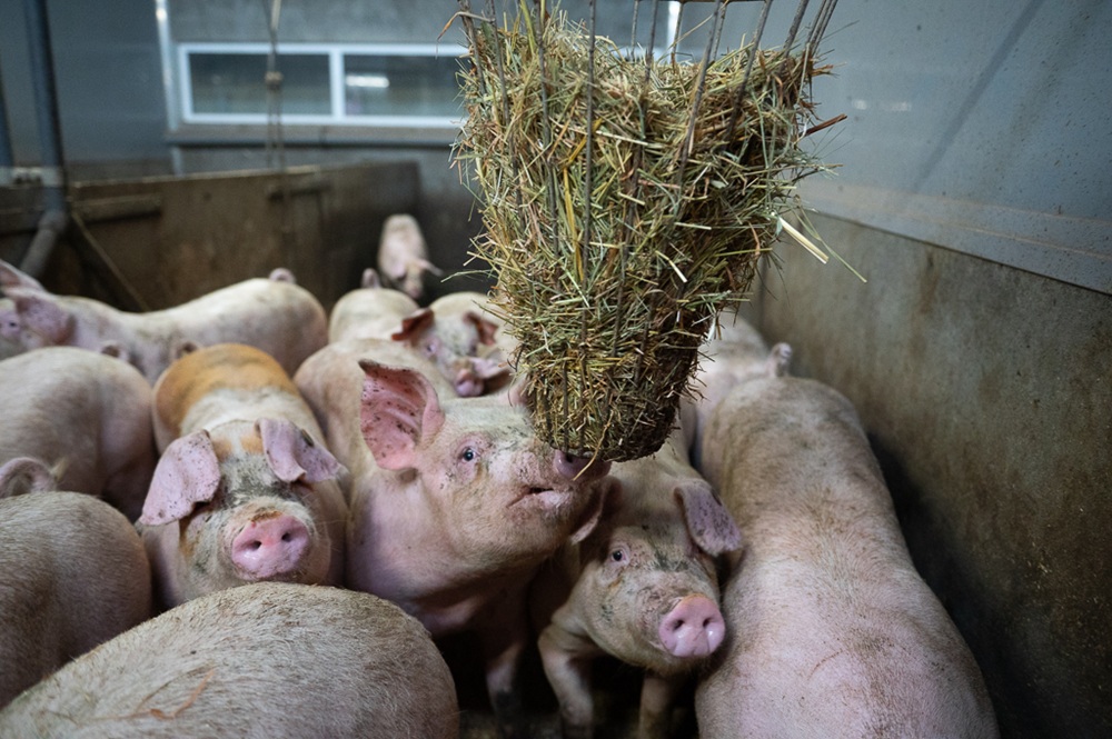 “Ook in Noord-Nederland interesse in concept Heyde Hoeve”