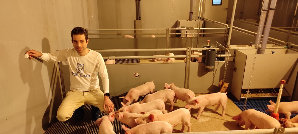 Nieuwe camera's en licht om het leven van varkens aangenamer te maken