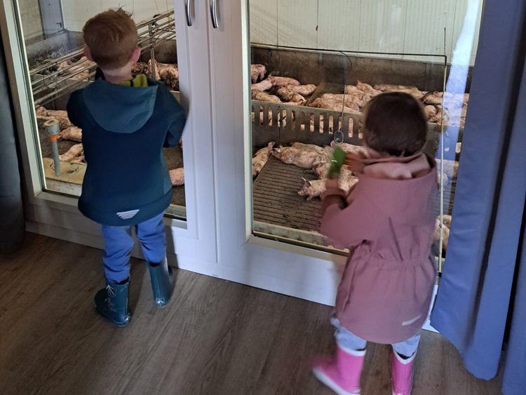 WVHV 2025-foto 1.750 goed